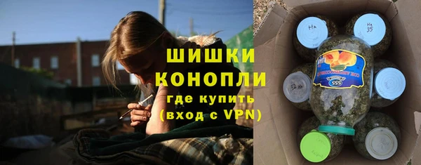 прущие грибы Каменск-Шахтинский