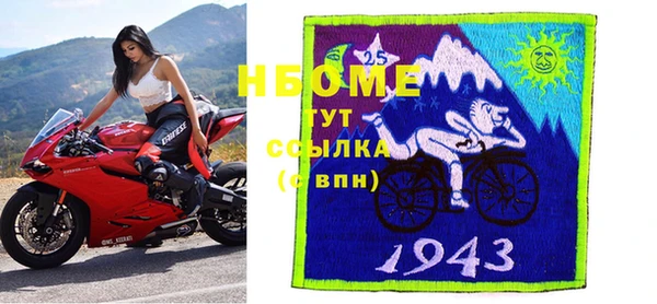 прущие грибы Каменск-Шахтинский