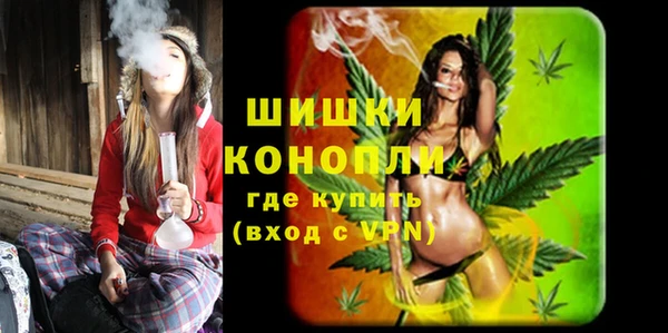 прущие грибы Каменск-Шахтинский