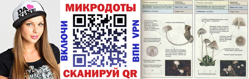 Галлюциногенные грибы мухоморы  Купить  Волоколамск 